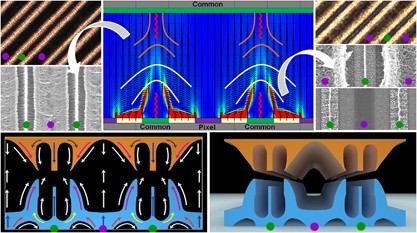 Optically and spatially templated polymer architectures formed by photopolymerization of reactive mesogens in periodically deformed liquid crystals