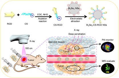 Decorated ultrathin bismuth selenide nanosheets as targeted theranostic agents for <i>in vivo</i> imaging guided cancer radiation therapy