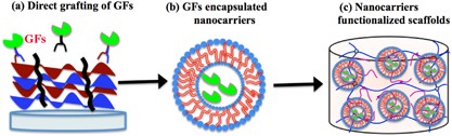 Novel biomaterial strategies for controlled growth factor delivery for biomedical applications