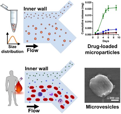 Rapid purification of sub-micrometer particles for enhanced drug release and microvesicles isolation