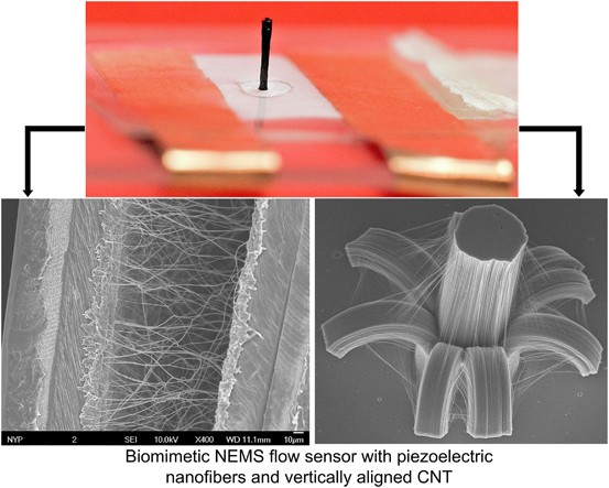 Biomimetic hydrogel-CNT network induced enhancement of fluid-structure interactions for ultrasensitive nanosensors