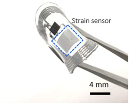 A skin-attachable, stretchable integrated system based on liquid GaInSn for wireless human motion monitoring with multi-site sensing capabilities