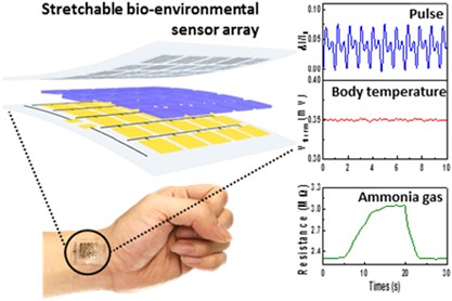Polyurethane foam coated with a multi-walled carbon nanotube/polyaniline nanocomposite for a skin-like stretchable array of multi-functional sensors