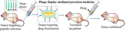 Guiding nanomaterials to tumors for breast cancer precision medicine: from tumor-targeting small-molecule discovery to targeted nanodrug delivery