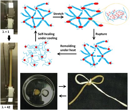 One-pot solvent exchange preparation of non-swellable, thermoplastic, stretchable and adhesive supramolecular hydrogels based on dual synergistic physical crosslinking