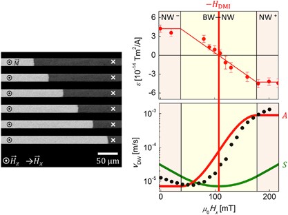 Chirality-induced antisymmetry in magnetic domain wall speed