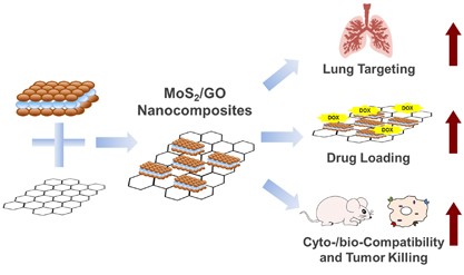 Molybdenum disulfide/graphene oxide nanocomposites show favorable lung targeting and enhanced drug loading/tumor-killing efficacy with improved biocompatibility