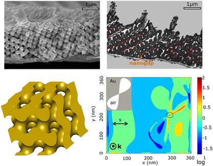 Highly sensitive, reproducible and uniform SERS substrates with a high density of three-dimensionally distributed hotspots: gyroid-structured Au periodic metallic materials