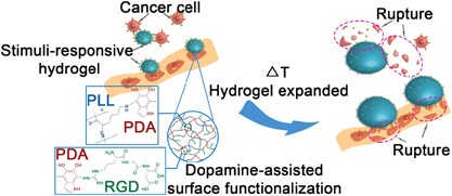 Rupturing cancer cells by the expansion of functionalized stimuli-responsive hydrogels
