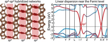 Semimetallic carbon allotrope with a topological nodal line in mixed <i>sp</i><sup>2</sup><i>-sp</i><sup>3</sup> bonding networks