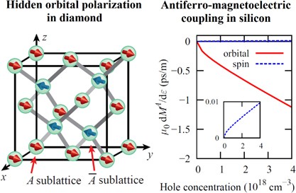 Hidden orbital polarization in diamond, silicon, germanium, gallium arsenide and layered materials