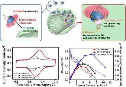 A new biocatalyst employing pyrenecarboxaldehyde as an anodic catalyst for enhancing the performance and stability of an enzymatic biofuel cell