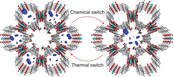 Protecting group and switchable pore-discriminating adsorption properties of a hydrophilic–hydrophobic metal–organic framework