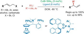 Catalytic asymmetric carbon–carbon bond formation via allylic alkylations with organolithium compounds