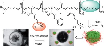 Biodegradable nanostructures with selective lysis of microbial membranes
