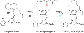 Regio- and stereodivergent antibiotic oxidative carbocyclizations catalysed by Rieske oxygenase-like enzymes