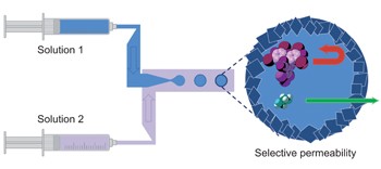 Interfacial synthesis of hollow metal–organic framework capsules demonstrating selective permeability