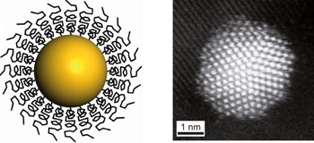 Facile removal of stabilizer-ligands from supported gold nanoparticles