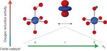 Design principles for oxygen-reduction activity on perovskite oxide catalysts for fuel cells and metal–air batteries