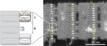 Programmable molecular recognition based on the geometry of DNA nanostructures