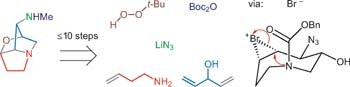 An efficient synthesis of loline alkaloids