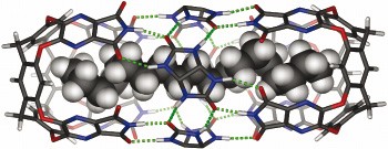 Compressed alkanes in reversible encapsulation complexes