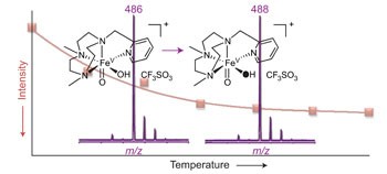 Observation of Fe(<span class="small-caps u-small-caps">V</span>)=O using variable-temperature mass spectrometry and its enzyme-like C–H and C=C oxidation reactions