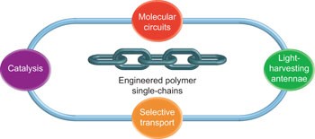 Single-chain technology using discrete synthetic macromolecules