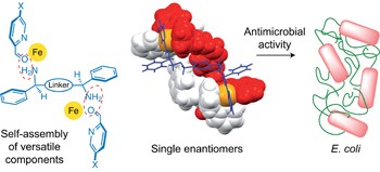 Optically pure, water-stable metallo-helical ‘flexicate’ assemblies with antibiotic activity