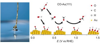 The promoting effect of adsorbed carbon monoxide on the oxidation of alcohols on a gold catalyst