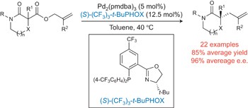 Enantioselective construction of quaternary <i>N</i>-heterocycles by palladium-catalysed decarboxylative allylic alkylation of lactams