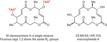 Binary fluorous tagging enables the synthesis and separation of a 16-stereoisomer library of macrosphelides