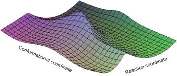 Taking Ockham's razor to enzyme dynamics and catalysis