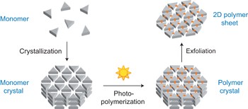 A two-dimensional polymer prepared by organic synthesis