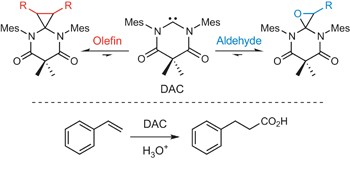 Diamidocarbenes as versatile and reversible [2&#xa0;+&#xa0;1] cycloaddition reagents