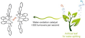 A molecular ruthenium catalyst with water-oxidation activity comparable to that of photosystem II