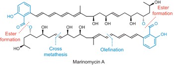 Total synthesis of marinomycin A using salicylate as a molecular switch to mediate dimerization