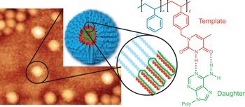 Biomimetic radical polymerization via cooperative assembly of segregating templates