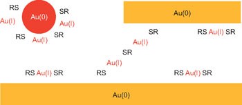 The gold–sulfur interface at the nanoscale