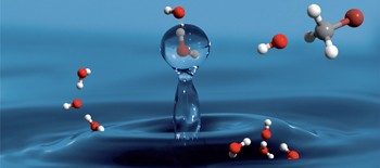 Single solvent molecules can affect the dynamics of substitution reactions