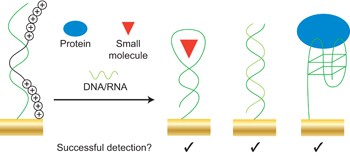 An ultrasensitive universal detector based on neutralizer displacement