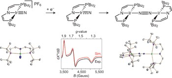 Closed-shell and open-shell square-planar iridium nitrido complexes