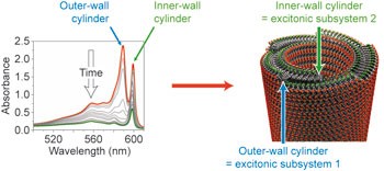 Utilizing redox-chemistry to elucidate the nature of exciton transitions in supramolecular dye nanotubes