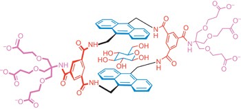 A simple and accessible synthetic lectin for glucose recognition and sensing