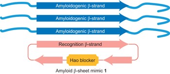 Amyloid β-sheet mimics that antagonize protein aggregation and reduce amyloid toxicity