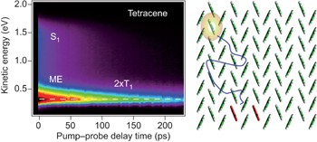 The energy barrier in singlet fission can be overcome through coherent coupling and entropic gain