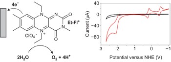 Electrode-assisted catalytic water oxidation by a flavin derivative