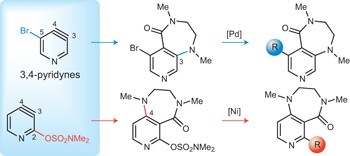 Regioselective reactions of 3,4-pyridynes enabled by the aryne distortion model