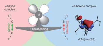 Bond-strengthening&#xa0;<i>π</i> backdonation&#xa0;in a&#xa0;transition-metal <i>π</i>-diborene complex