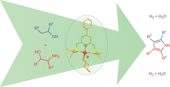 A sustainable catalytic pyrrole synthesis